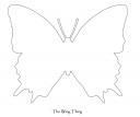 The Wing Thing